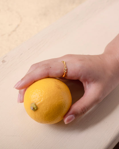 Iva Ring │ 初熟 戒指