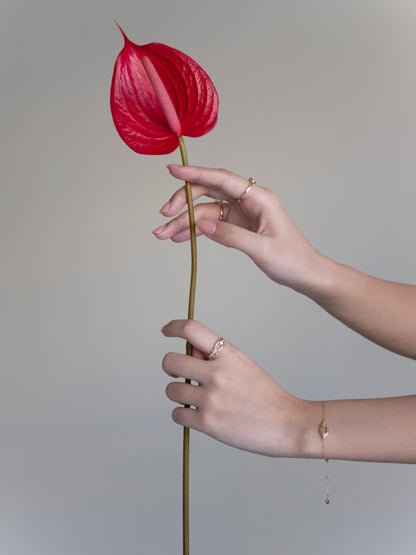 Fortune Ring │ 馬蹄形戒指