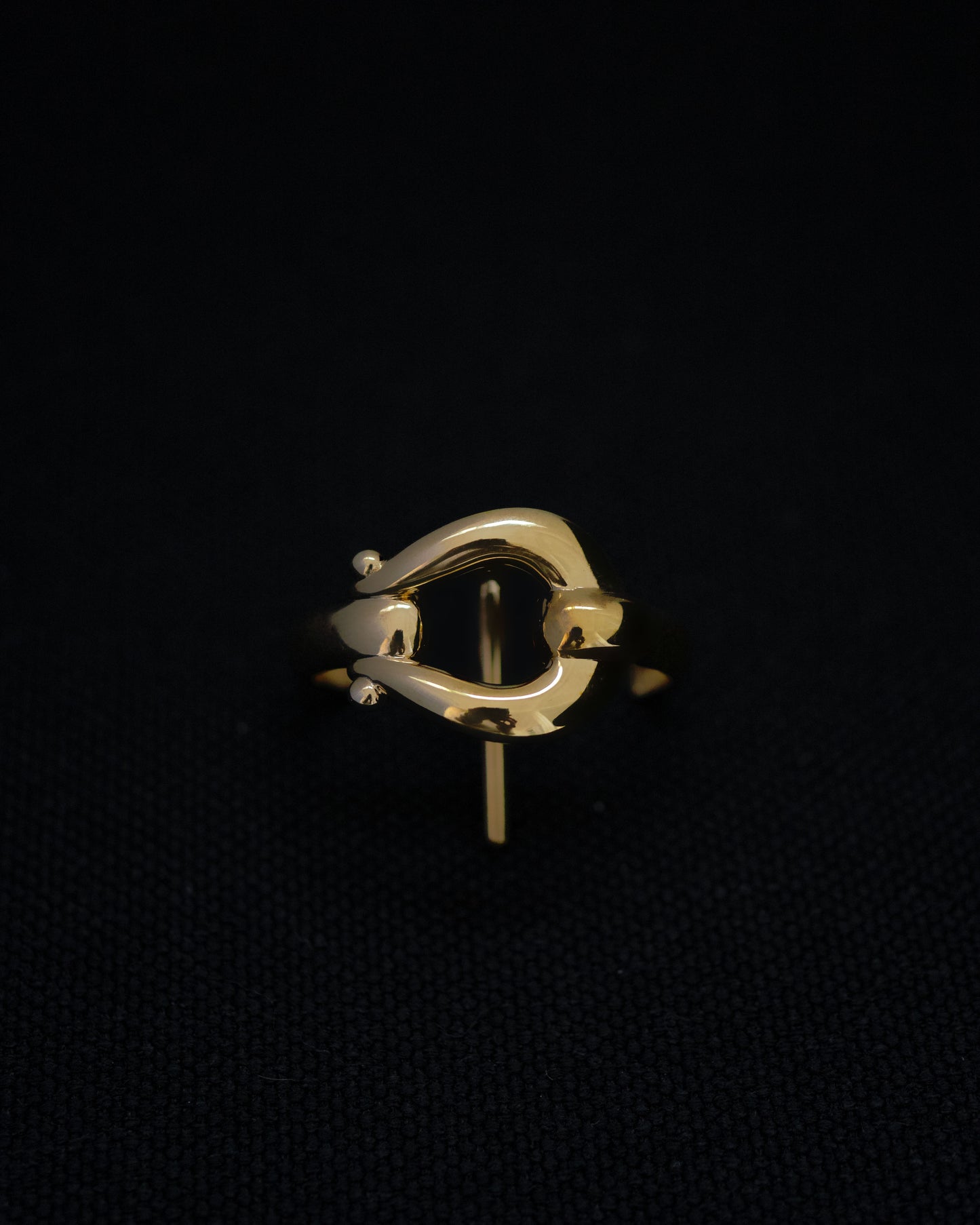 Fortune Hair Cuff │  馬蹄形髮圈