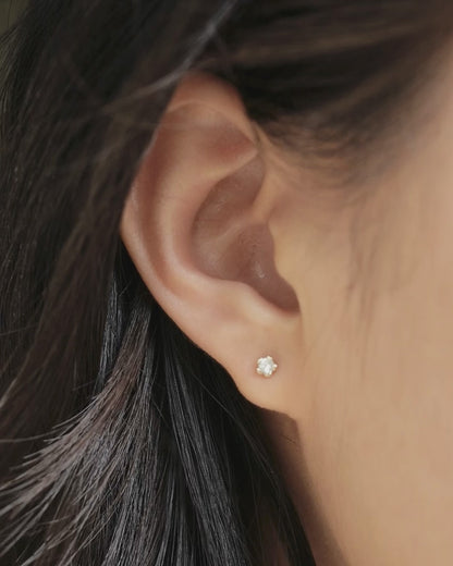 Bloomy Solitaire Earrings │ 10K金 小花耳環